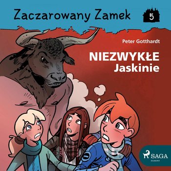 Niezwykłe Jaskinie. Zaczarowany zamek. Tom 5 - Gotthardt Peter