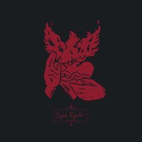 Night Raider Crippled Black Phoenix