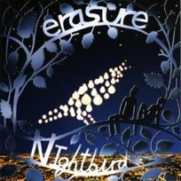Nightbird Erasure
