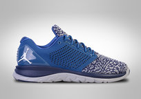Nike Air Jordan Trainer St French Blue Jordan