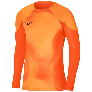 Nike Gardien IV, Bluza sportowa Goalkeeper JSY DH7967 819, L - Nike