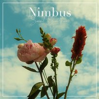 Nimbus Saint Swithun