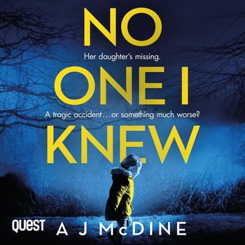 No One I Knew - McDine A.J.
