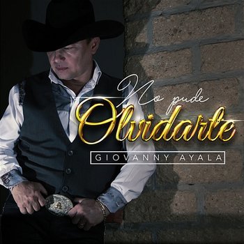 No Pude Olvidarte - Giovanny Ayala