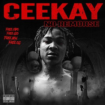 No Remorse - Cee Kay