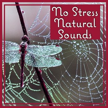 No Stress Natural Sounds: Soothing Music for Deep Sleep, Relaxation and Serenity with New Age, Anxiety Cure for Your Mind - Less Stress Music Academy