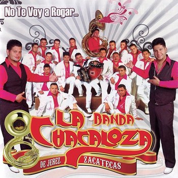 No Te Voy A Rogar - Banda La Chacaloza De Jerez Zacatecas