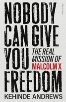 Nobody Can Give You Freedom Andrews Kehinde