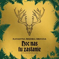 Noc nas tu zastanie - audiobook Miszczuk Katarzyna Berenika