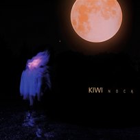 Nocą Kiwi