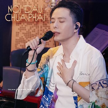 Nỗi Đau Chưa Phai - Trịnh Thăng Bình