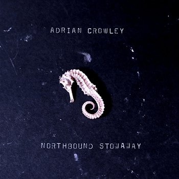 Northbound Stowaway - Adrian Crowley