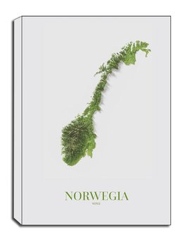 Norwegia, mapa - obraz na płótnie 61x91,5 cm - Galeria Plakatu
