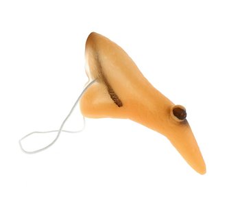 Nos wiedźmy - GoDan