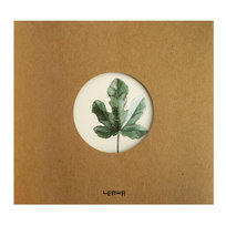 Inne tego producenta