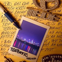 Notes Tede