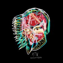 Nothing As The Ideal All Them Witches