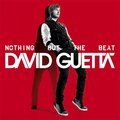 Nothing But the Beat, płyta winylowa&nbsp;-&nbsp;Guetta David