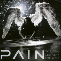Nothing Remains The Same Pain