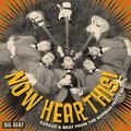 Now Hear This! Garage & Beat from the Norman Petty Vaults Various Artists