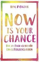 Now Is Your Chance - Pidgeon Niyc