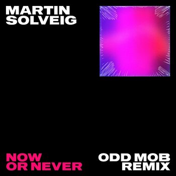 Now Or Never - Martin Solveig, Faouzia