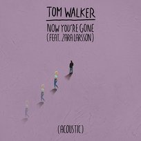 Now You're Gone Tom Walker feat. Zara Larsson