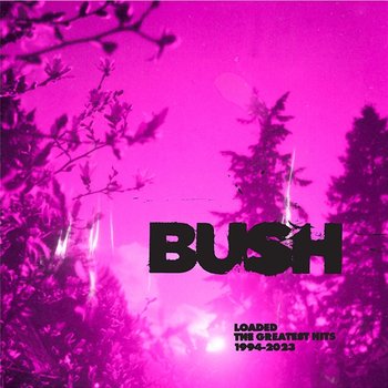 Nowhere To Go But Everywhere - Bush