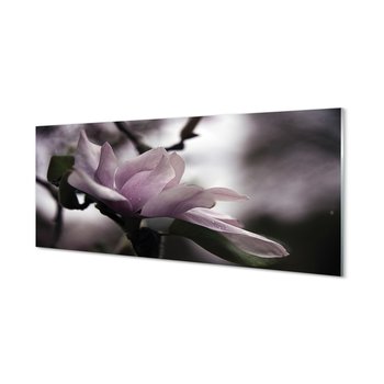 Nowoczesny lacobel z grafiką Magnolia 125x50 cm - Tulup
