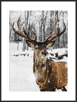 Nowoczesny Obraz Plakat A1 60x84 cm Zimowy Jeleń / Fabryka Plakatu - Fabryka plakatu
