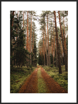 Nowoczesny Obraz Plakat A4 21x30 cm Droga do Lasu / Fabryka Plakatu - Fabryka plakatu