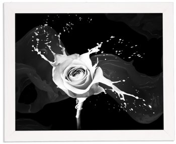 Nowoczesny obraz w białej ramie w rozmiarze 40x50 cm - Rose 5 - Postergaleria