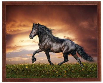 Nowoczesny obraz w brązowej ramie w rozmiarze 40x50 cm - Horse 1 - Postergaleria