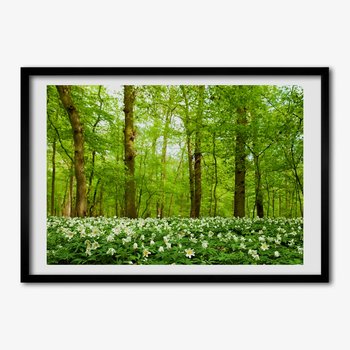 Nowoczesny Obraz z ramką TULUP Kwiaty w lesie 70x50 cm - Tulup