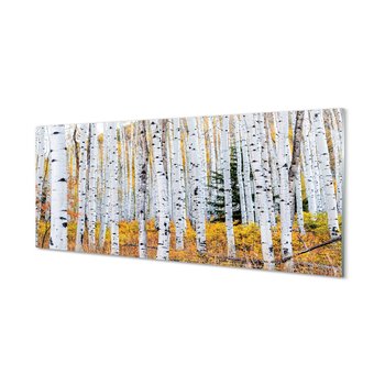 Nowoczesny panel kuchenny Jesień brzozy 125x50 cm - Tulup
