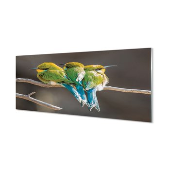 Nowoczesny panel szklany Ptaki na gałęzi 125x50 cm - Tulup