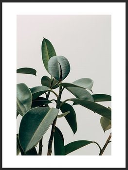 Nowoczesny plakat FABRYKA PLAKATU Listki B2, 50x70 cm - Fabryka plakatu