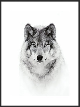 Nowoczesny plakat FABRYKA PLAKATU Wilk A1, 60x84 cm - Fabryka plakatu