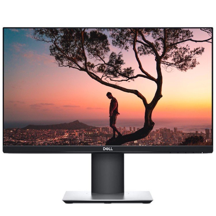 DELL P2419H モニター NOWY Monitor Dell P2419H 24