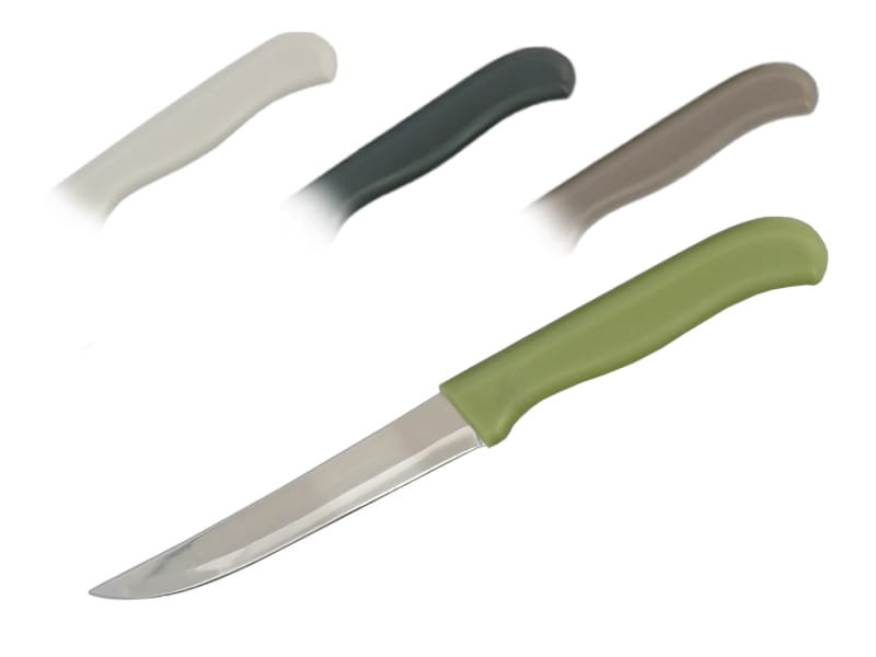 Zdjęcia - Nóż stołowy Galicja Nóż kuchenny Denis 21cm mix kolorów N 8506 