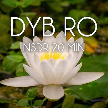 NSDR 20 min - Dyb Ro