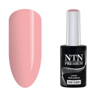 Ntn, Premium Romantica Collection, Lakier Hybrydowy, 108, 5 G
