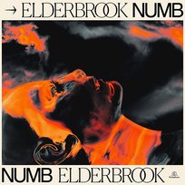 Numb Elderbrook