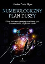 Numerologiczny plan duszy Nicolas David Ngan