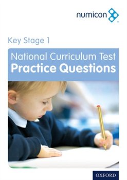 Numicon: Key Stage 1 National Curriculum Test Practice Questions - Ruth Atkinson