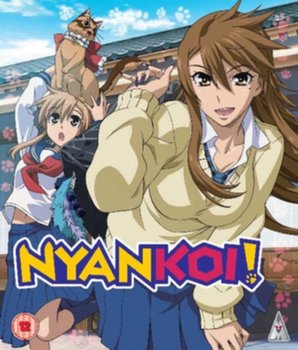 Nyan Koi!: Collection (brak polskiej wersji językowej) - Kawaguchi Keiichirou
