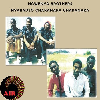 Nyaradzo Chakanaka Chakanaka - Ngwenya Brothers