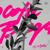 O co tu biega? Bejs, Nicole Tymcio, BRK, Jamal