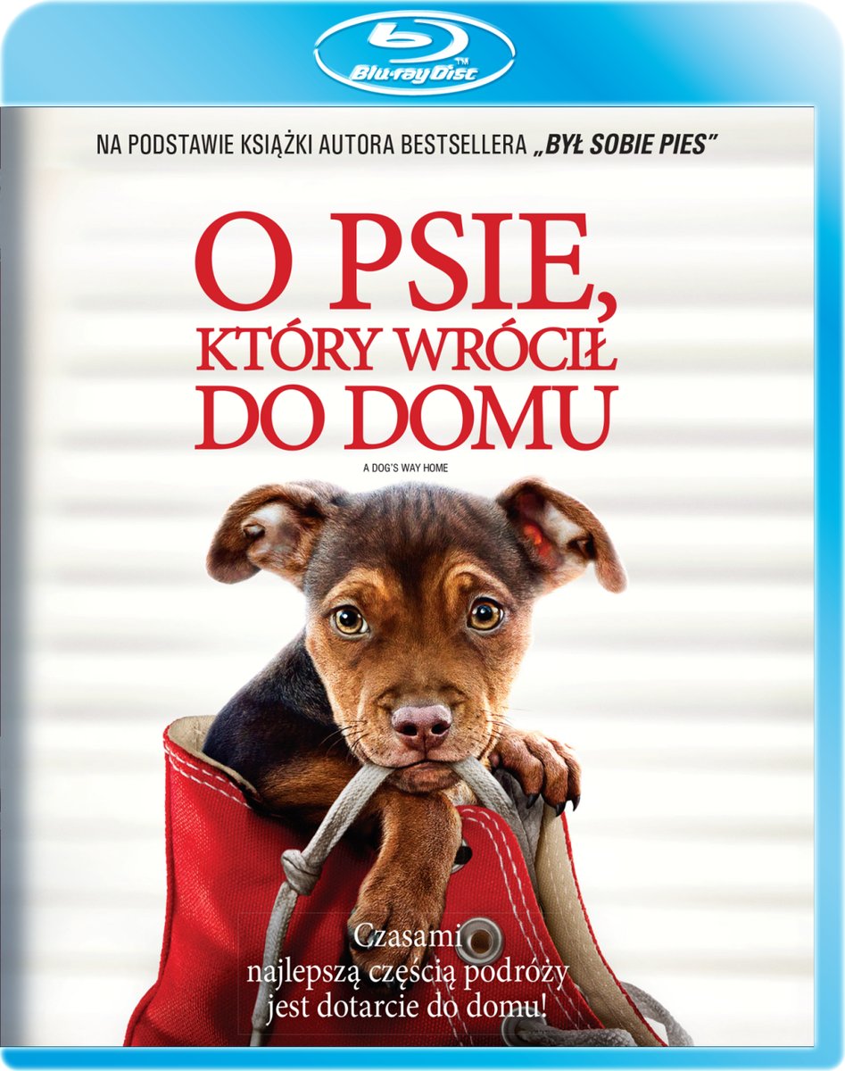 Netflix O Psie Który Wrócił Do Domu O psie, który wrócił do domu () - Smith Charles Martin| Filmy Sklep