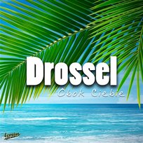 Obok Ciebie Drossel